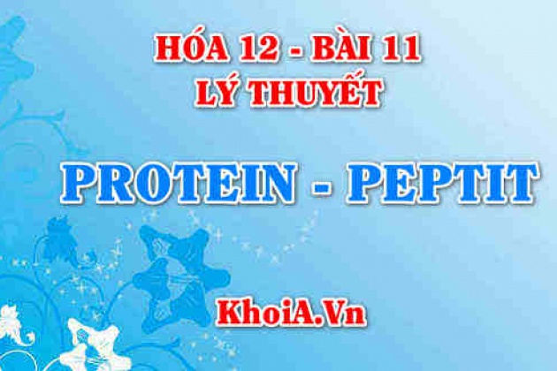 Phân Tích Hướng Giải Tối Ưu Chinh Phục Bài Tập Hóa Học Chuyên Đề Peptit